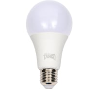 Светодиодная лампа TANGO 25W E27 A70 6500K 220V LED А70-25W-E27-WW ЛОН 1016821