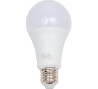 Светодиодная лампа TANGO 25W E27 A70 4000K 220V LED А70-25W-E27-W ЛОН 1015807