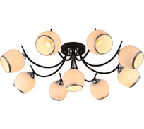 Потолочная люстра J-LIGHT BASO 3106/9C