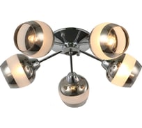 Потолочная люстра J-LIGHT HOLA 3112/5C