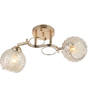 Потолочная люстра J-LIGHT NUNO 3102/2C