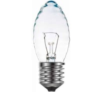 Лампа накаливания LEADlight ДС 230-40 сибирская шишка короб 8673