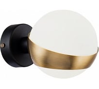 Бра Freya Silvia FR5009WL-01B