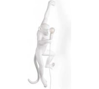 Настенная лампа IMPERIUMLOFT MONKEY LAMP HANGING VERSION 74282-22