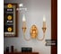 Бра ARTE LAMP COLLINETTA A4094AP-2PB 2