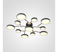 Потолочная люстра IMPERIUMLOFT GAMMA D102 Black 223770-23