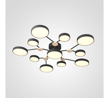 Потолочная люстра IMPERIUMLOFT GAMMA D102 Black 223770-23