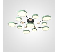 Потолочная люстра IMPERIUMLOFT GAMMA D102 Green 223773-23