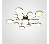 Потолочная люстра IMPERIUMLOFT GAMMA D102 Grey 223767-23