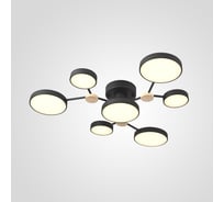 Потолочная люстра IMPERIUMLOFT GAMMA D88 Black 223768-23