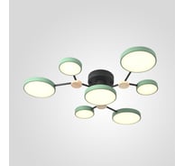 Потолочная люстра IMPERIUMLOFT GAMMA D88 Green 223771-23