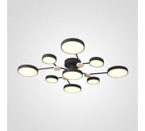 Потолочная люстра IMPERIUMLOFT GAMMA D98 Black 223769-23