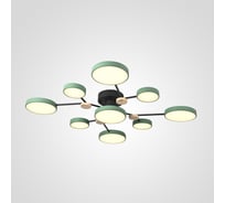 Потолочная люстра IMPERIUMLOFT GAMMA D98 Green 223772-23