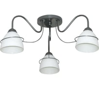 Светильник ЭЛЕТЕХ Атлас 131 хром Плафон 0898 НСБ 01-3х60-196 Е27 ИУ 1005404475