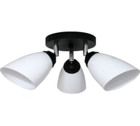 Светильник ЭЛЕТЕХ Сатурн 1317 черный Плафон П0475 НПБ 01-3х60-176 Е27 ИУ 1005404579