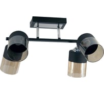 Светильник ЭЛЕТЕХ Софи-А НПБ 01-4х60-122 Е27 ИУ 1005404348