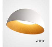 Потолочный светильник IMPERIUMLOFT BARA A D35 White 4000К 223996-23