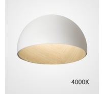 Потолочный светильник IMPERIUMLOFT BARA B D50 White 4000К 224006-23
