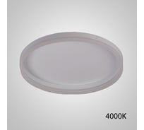 Потолочный светильник IMPERIUMLOFT MONET D80 White 4000К 231176-23