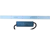 Комплект для фито освещения ООО ТД Агиро 50 Вт ( модуль PLO + драйвер MLT-PSG50-350-IP65 ) ФИТОPLO