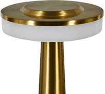 Лампа настольная светодиодная аккумуляторная TENDENZA TZ_LL012