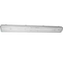 Светильник ALB ДСП 61-36-P-850-IP65-M-D1-A1 G3034
