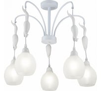 Люстра Freya Squirrel FR5010PL-05W