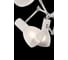 Люстра Freya Avery FR5080PL-08W 6