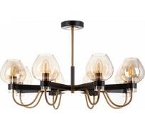 Люстра Freya Tara FR5028PL-08B