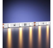 Светодиодная лента MAYTONI Ultra 12В 2835 4,8Вт/м 2700К 5м IP 20 201102