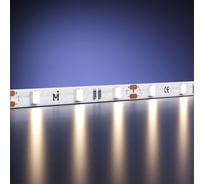 Светодиодная лента MAYTONI Ultra 12В 2835 4,8Вт/м 4000К 5м IP 20 201104