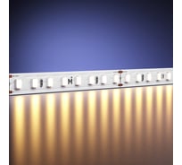 Светодиодная лента MAYTONI Ultra 24В 2835 9,6Вт/м 2700К 5м IP 20 201096