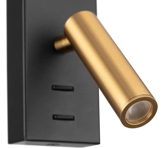 Светильник с выключателем Citilux Декарт LED USB Чёрный+Бронза CL704451