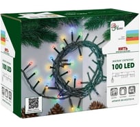 Электрогирлянда B&H Нить 6 м, 100 разноцветных матовых светодиодов, для использования внутри помещений BH-HO2703-M