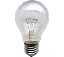 Лампа накаливания TDM ELECTRIC Б 230-40, 40 Вт, Е27 SQ0343-0017