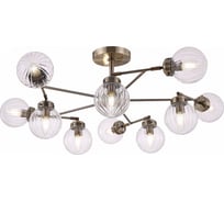 Люстра Freya Daisy FR5041PL-10BS