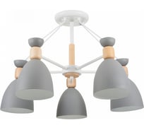 Потолочный светильник Freya Delia FR5033CL-05W