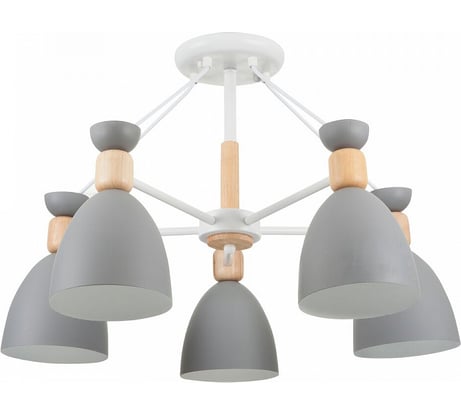 Потолочный светильник Freya Delia FR5033CL-05W