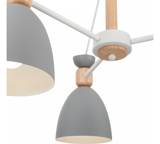 Потолочный светильник Freya Delia FR5033CL-05W