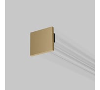 Заглушки Elektrostandard Brass Line для накладного шинопровода 2шт 85230/00 латунь a069645