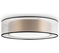 Потолочный светильник Freya Zoticus FR6005CL-L36G