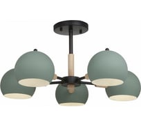 Потолочный светильник Freya Trisha FR5032CL-05B