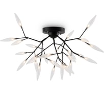 Светильник Freya Iris FR5067CL-27B