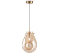Подвесной светильник Freya Dispel FR5180PL-01BS
