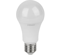 Лампочка светодиодная OSRAM LVCLA200 25SW/865 230VFR E27 10x1RU 4058075696471