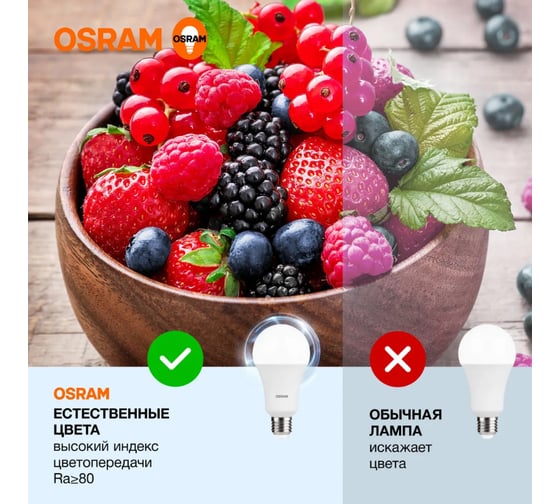 Лампочка светодиодная OSRAM LVCLA300 30SW/865 230VFR E27 10x1RU 4058075696808