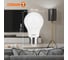 Лампочка светодиодная низковольтная OSRAM LSCLA100 9W/840 12-36VFR E27 4058075732926 4