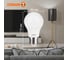 Лампочка светодиодная низковольтная OSRAM LSCLA120 10W/840 12-36VFR E27 FS1 4099854334481 4