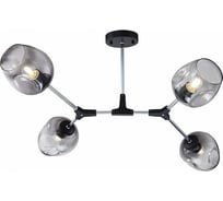 Потолочный светильник Freya Desi FR5006CL-04B