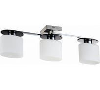 Потолочный светильник Freya Bice FR5101-CL-03-CN